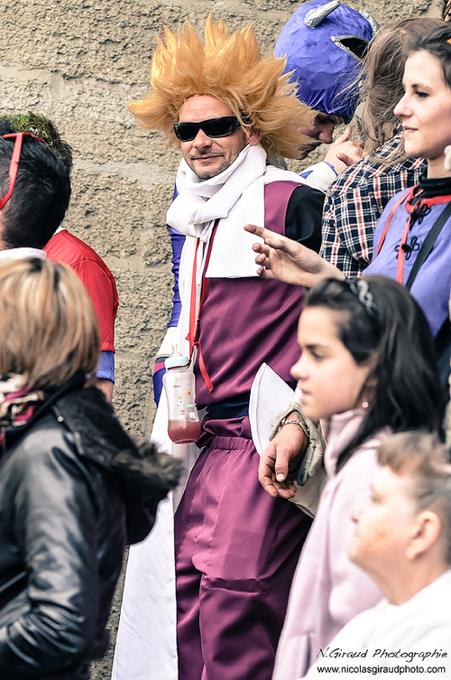 Carnaval Etoile sur Rhône 2013