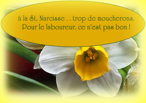 St. ou Ste Narcisse