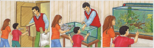 DES IMAGES SEQUENTIELLES