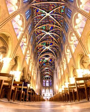 Que sera la future Notre Dame de Paris ?