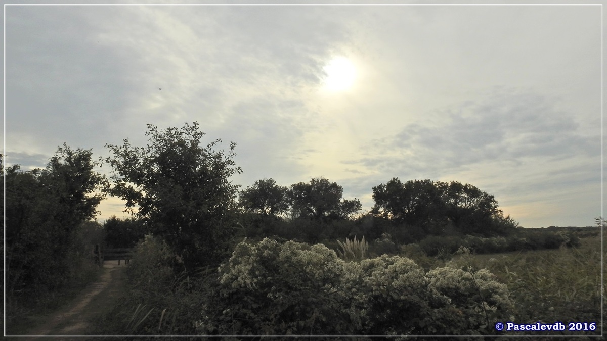 Plaines du Teich et domaine de Fleury - Octobre 2016 - 10/13