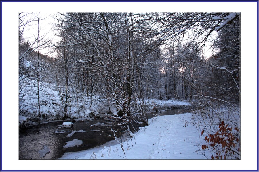 Saint-Nabord, un patrimoine naturel