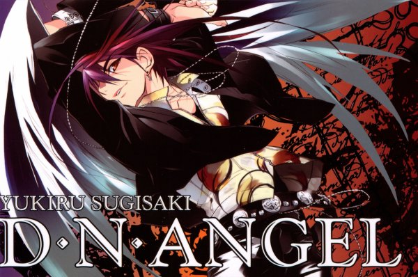 DN Angel