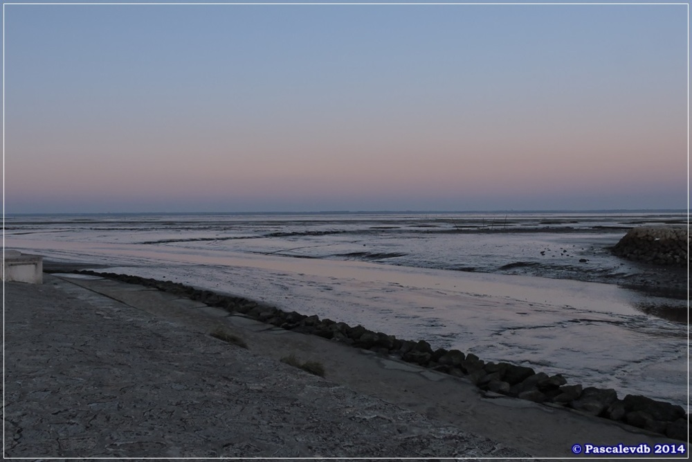 Entre le port de Gujan-Mestras et le port de Larros - 5/5