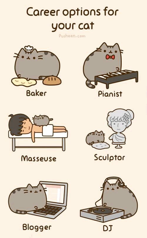 Dessins Chats