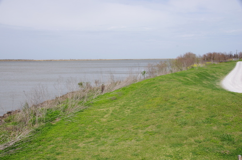 Jour 9 - le Delta du Mississipi, le lac Pontchartrain