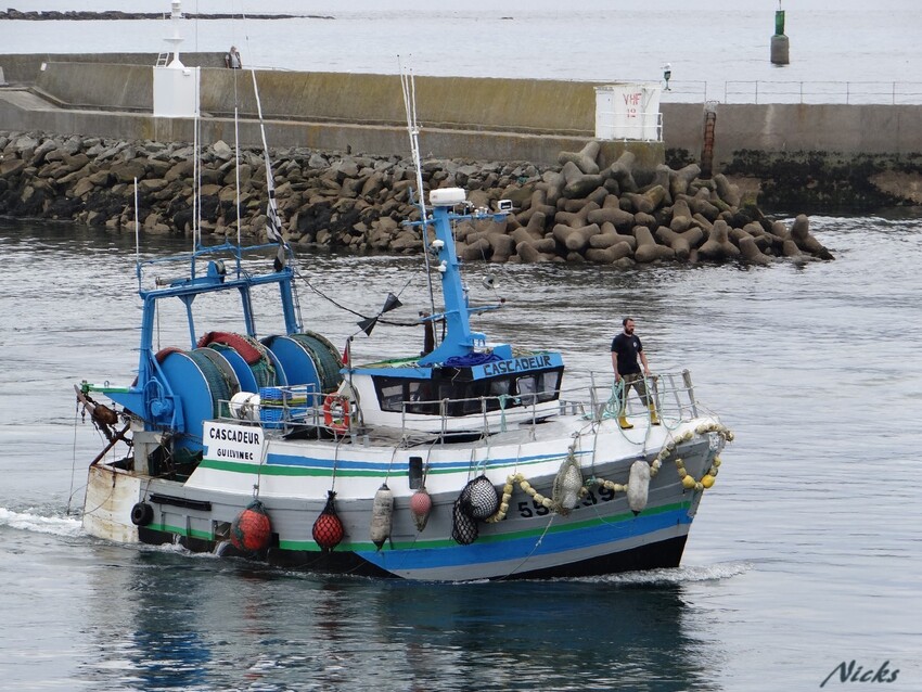 Port du Guilvinec,