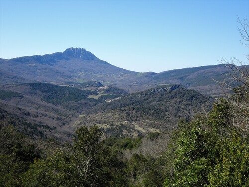 * SAINT-PAUL-DE-FENOUILLET le Pla de Brézou