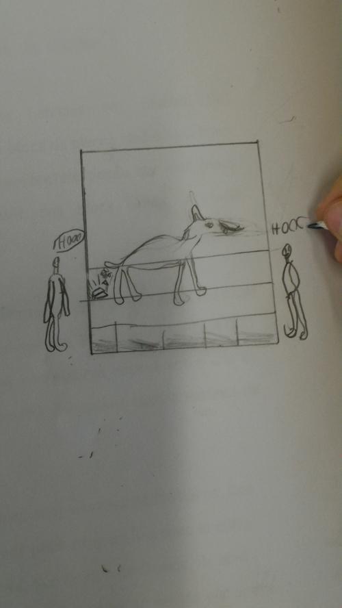 Peau d'Âne...