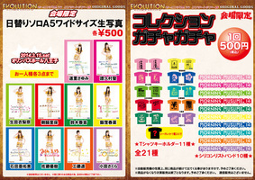 Produits dérivés de la tournée "Morning Musume '14 Concert Tour Haru～Evolution～"