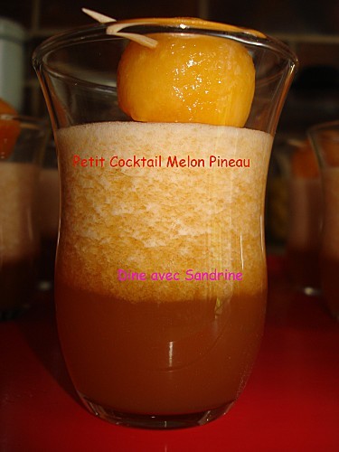Petit Cocktail Melon Pineau 3