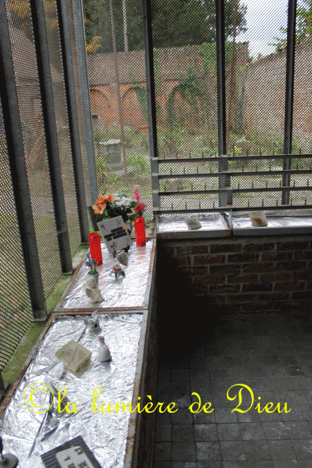 Basilique Notre-Dame de Tongre