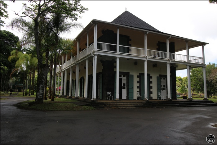 Jardin botanique de Pamplemousse, de l’île Maurice 