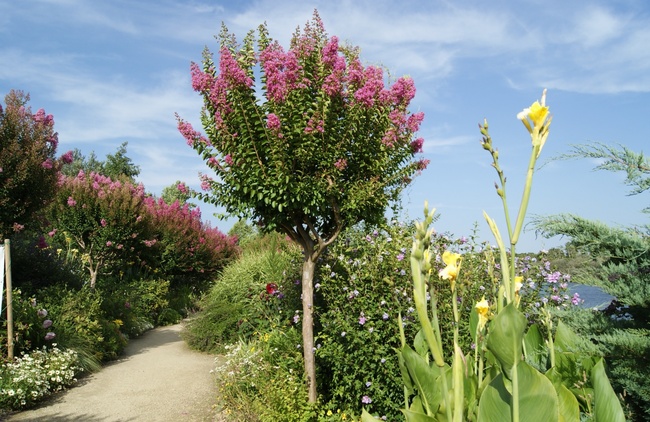 Promenade fleurie de Mimizan fin août