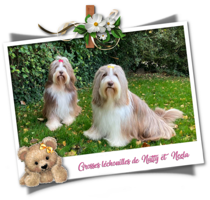 ♥ Natty & Neela petites-filles d' Athos fêtent leur 5 ans♥