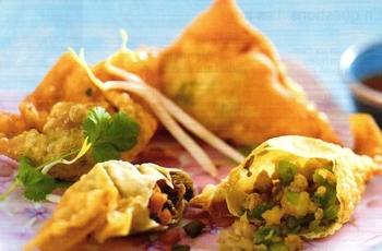les huiles - photo raviolis wan-tan aux crevettes et légumes croquants