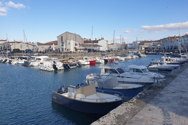 Dans les marais de l'île de Ré