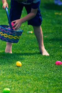 chasse aux oeufs de pâques