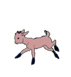 chevre002