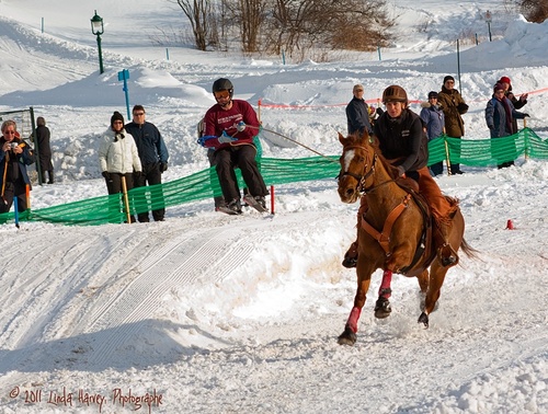 Ski Joring 02