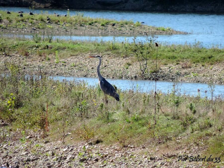 le parc de loisirs de Saint Cyr (2)