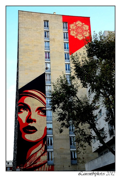 Shepard Fairey street art Paris 13°