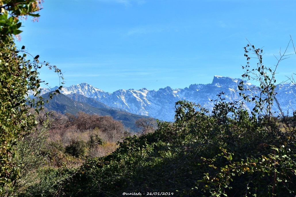 Paglia Orba sous la neige  depuis Galéria