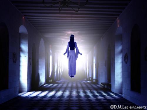 Lucie, Château de Veauce Les mystères du château de Veauce