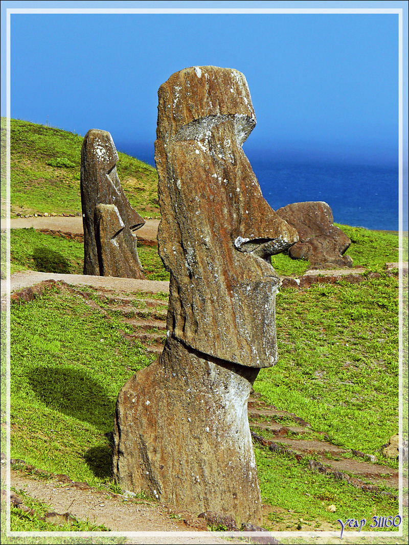 Un géant très fier de lui - Volcan Rano Raraku - Rapa Nui (île de Pâques ) - Chili