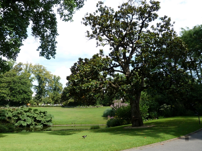 Au jardin des plantes..... suite 