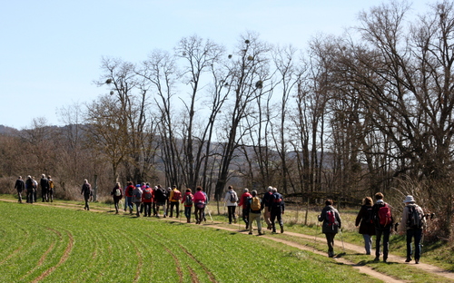 15.03.2023.Rando Auzat sur Allier.12 kms