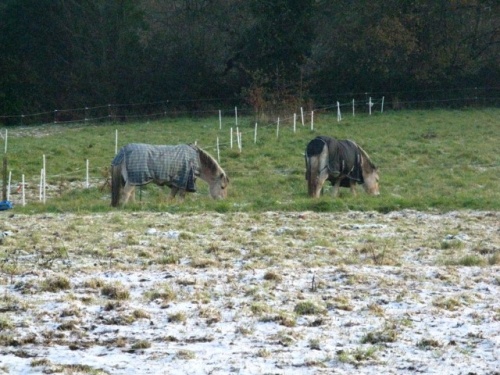 Hivers 2010 2011 : inauguration des manteaux !