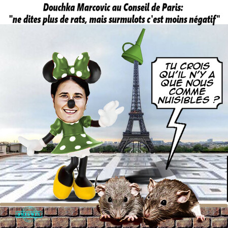Douchka Marcovic rats et surmulots à Paris