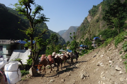 Nepal : le retour 