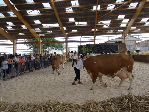 La fête de l'agriculture a eu lieu à Châtillon sur Seine...