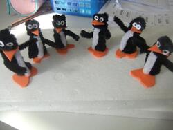 Les animaux du pôle (ours, pingouin, phoque ...)
