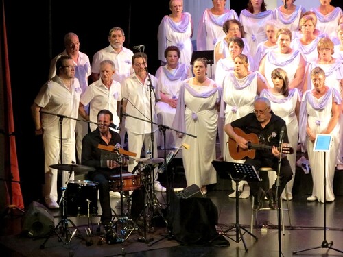 Le fabuleux concert de la Chorale des Sans Voix ...