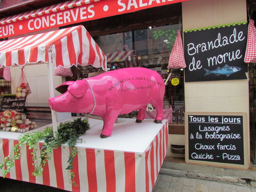 Visite dans les Pyrénées (65).