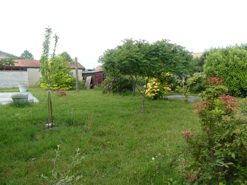 Les fleurs du jardin