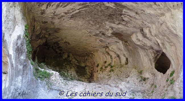 La combe de Curnier, combe de Bouisse