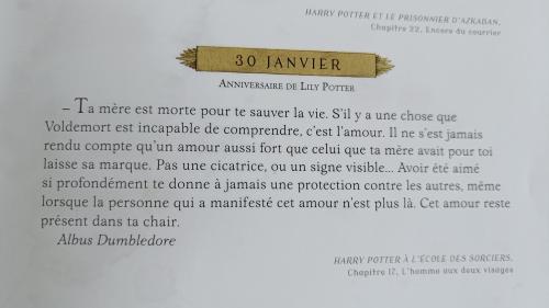 Amour Dumbledore