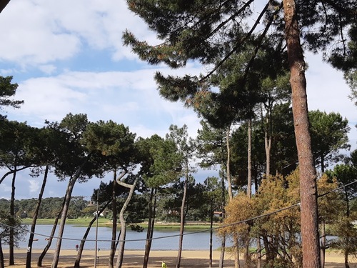 Sortie à Hossegor