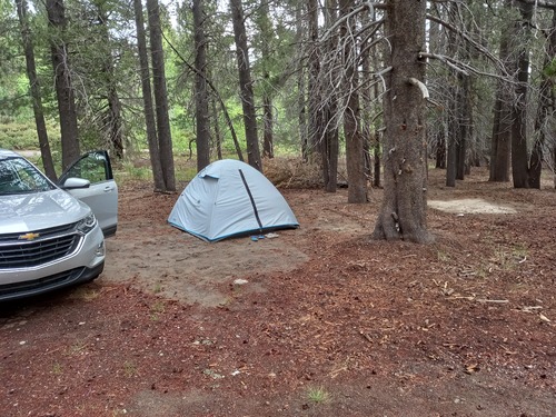 Yosemite NP