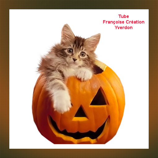 Animaux Halloween (11 à 20)