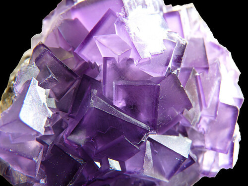 fluorine violette