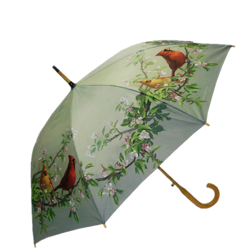 Parapluies, Ombrelles Série 2