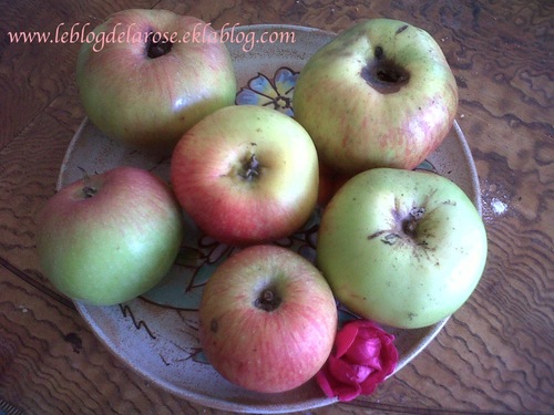 Les pommes en avance/Apples ahead of season