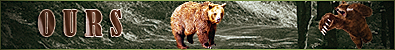 loup garou en ligne logo ours