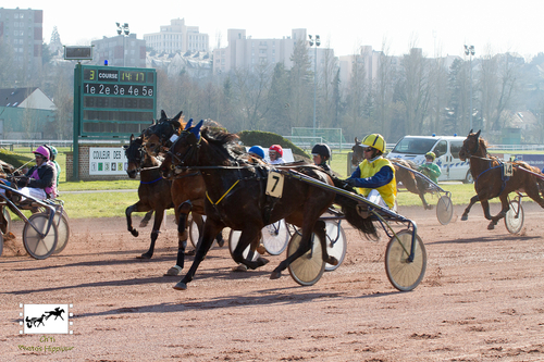 PRIX DU PUBLIC (Gr B)