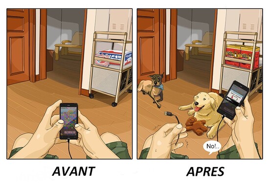 Avant - Après